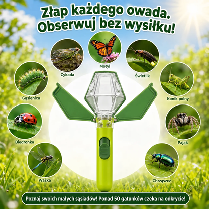Łapka na Owady Caree